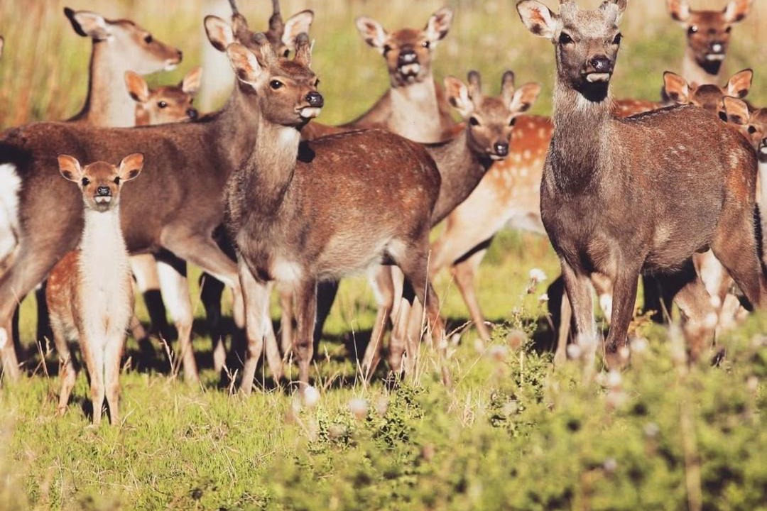 Photo of Others in Lichfield