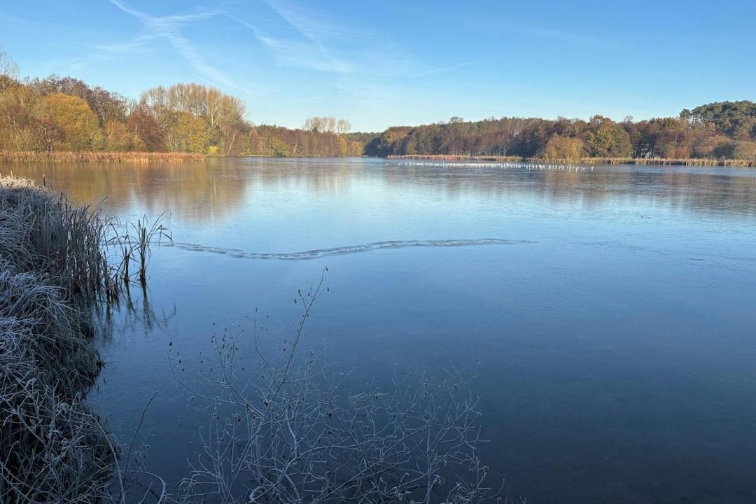 Photo of Others in Lichfield