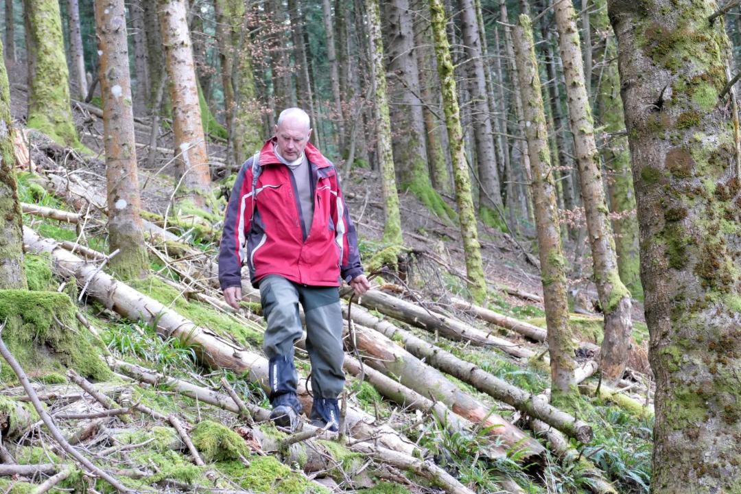 Photo of Others in Alzen