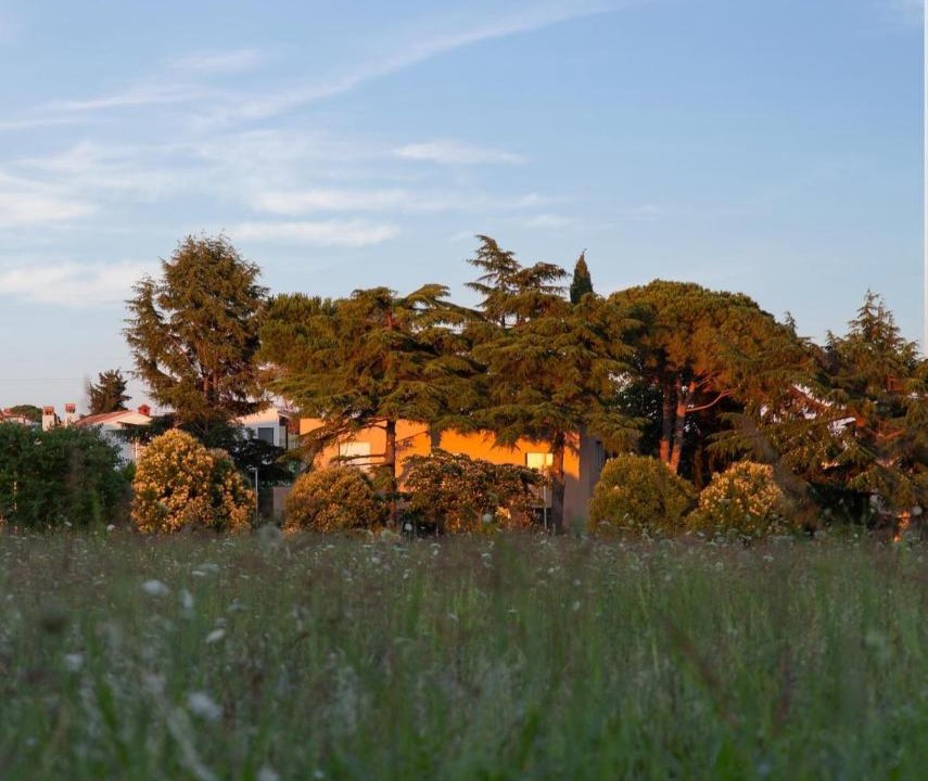 Photo of Others in Novigrad