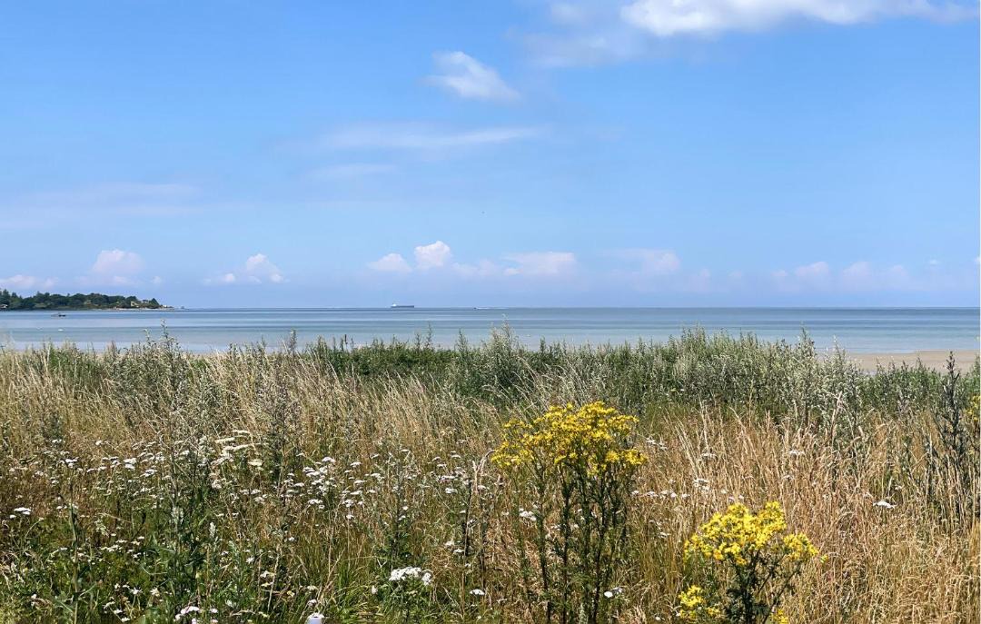 Photo of Others in Mesinge