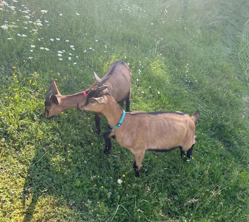 Photo of Others in Fuans