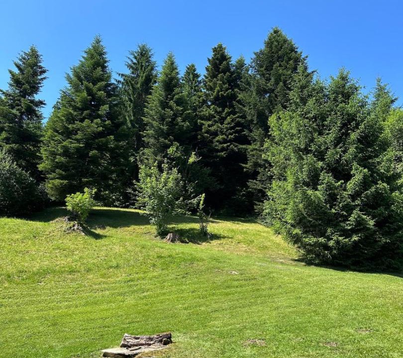 Photo of Others in Fuans