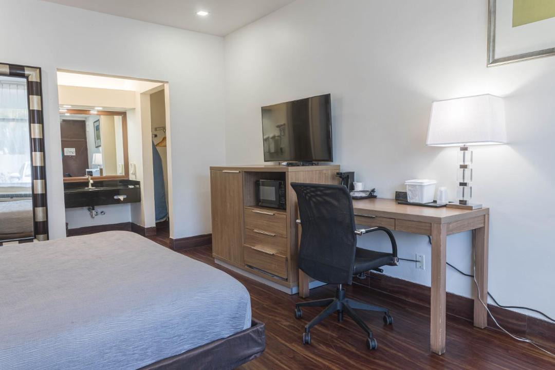 Photo of Others in East Boca Raton