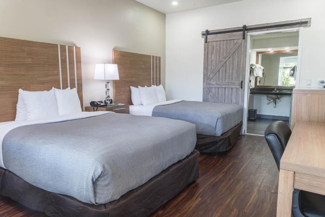 Photo of Others in East Boca Raton