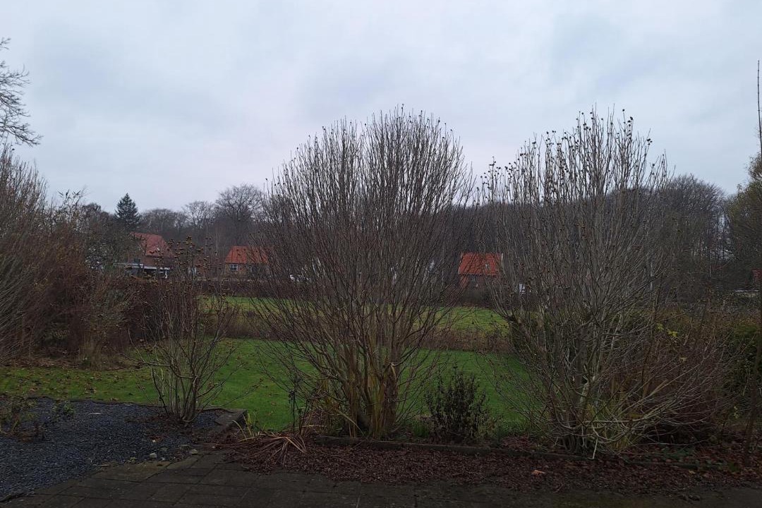 Photo of Others in Naesby
