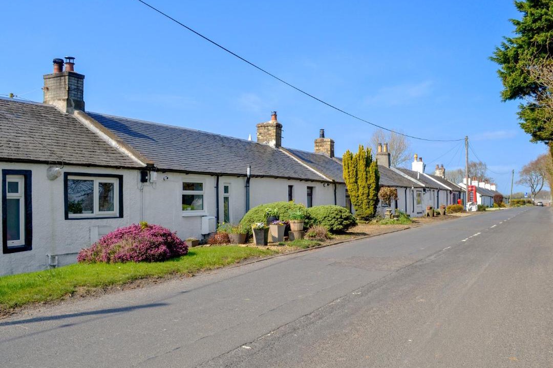 Photo of Others in Irvine