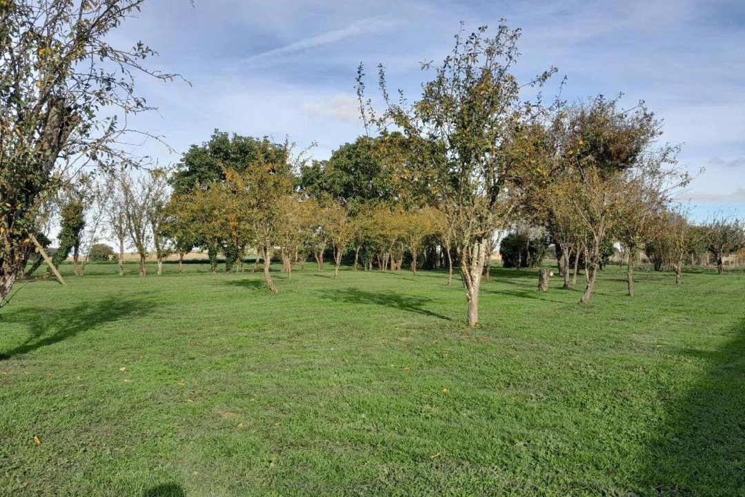 Photo of Others in Coussay