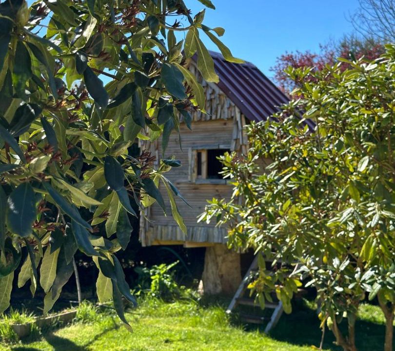 Photo of Others in Dieppe