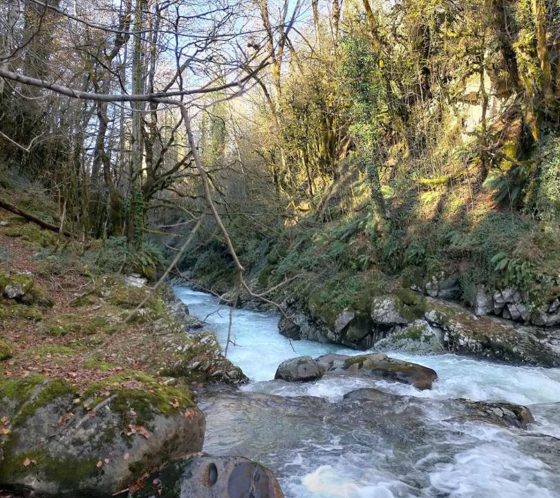 Photo of Others in Erce