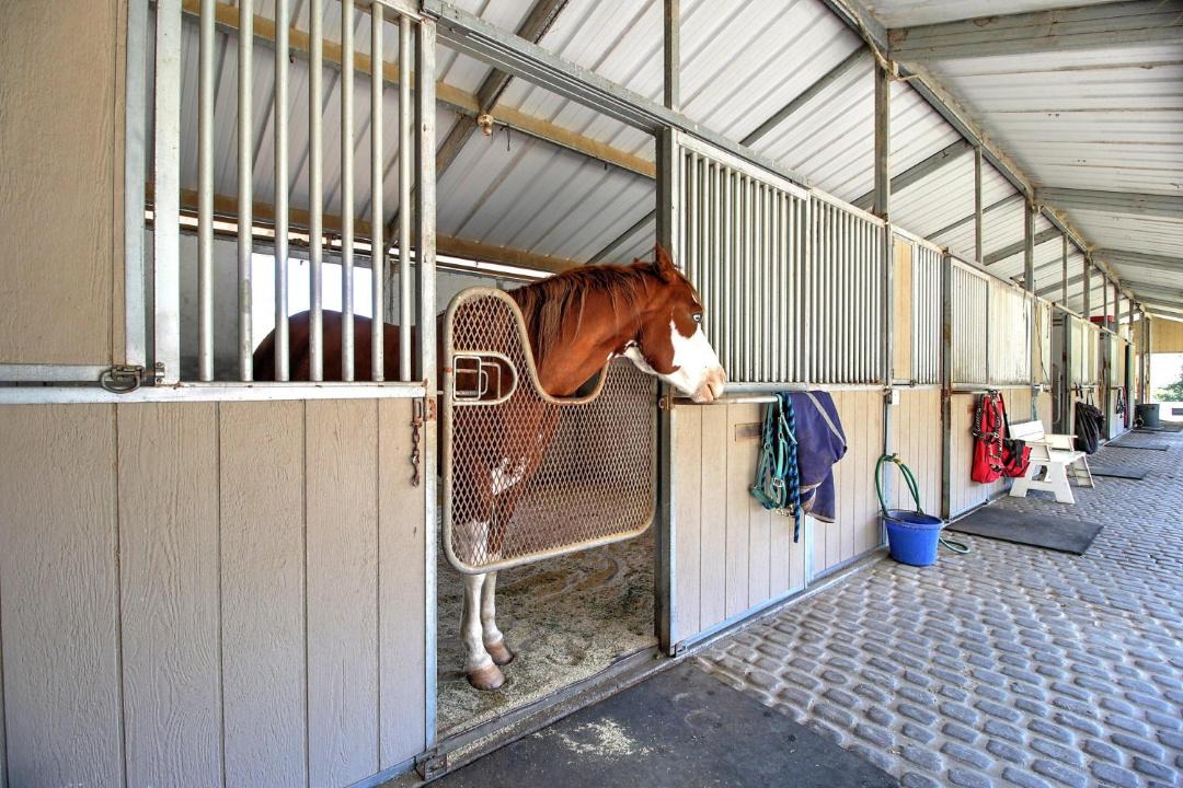 Photo of Others in Santa Ynez Valley
