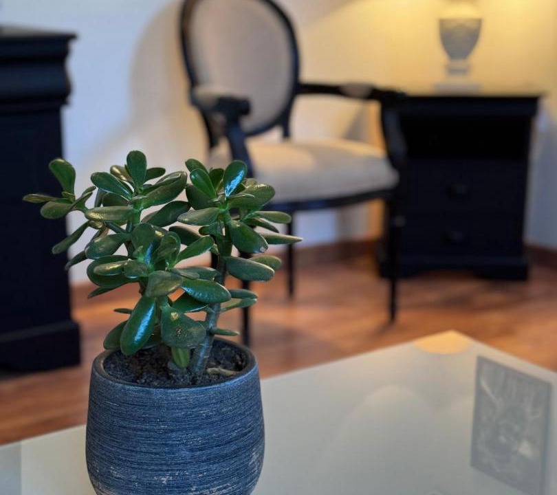 Photo of Livingroom in Coueron