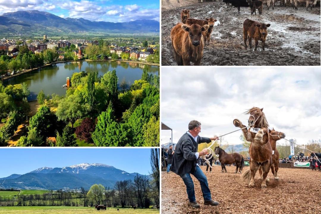 Photo of Others in Puigcerda