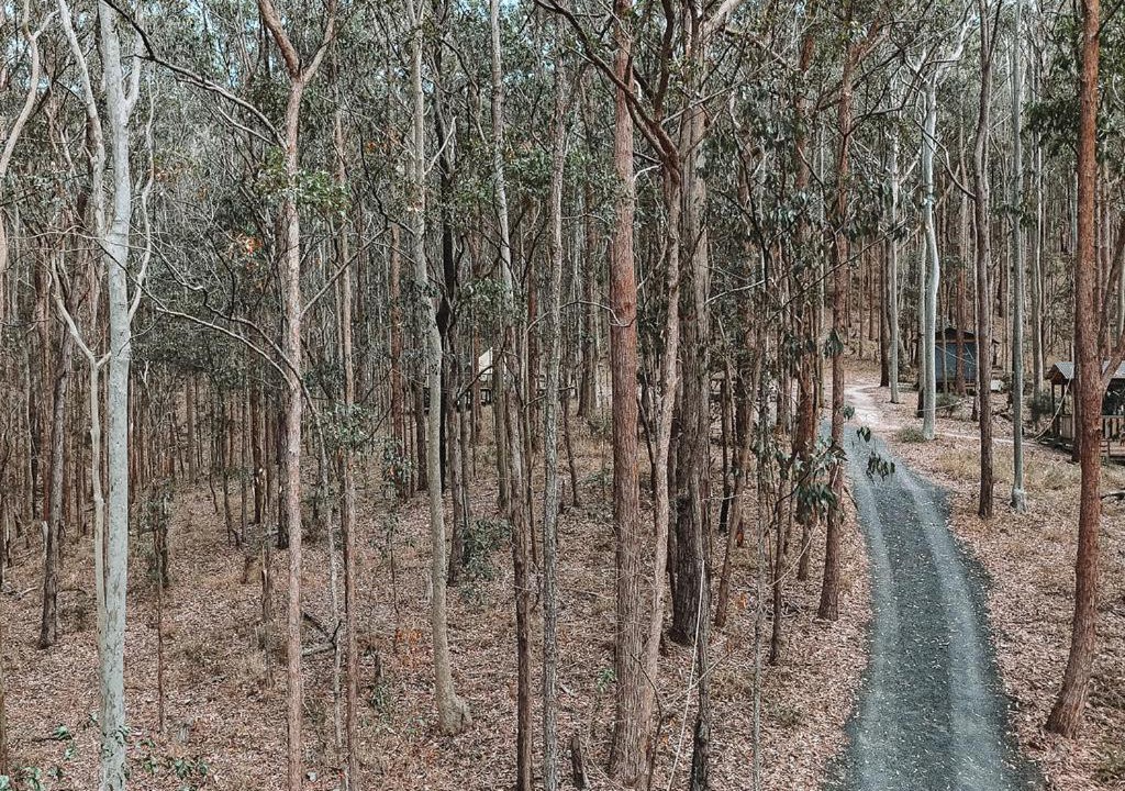 Photo of Others in Wyee