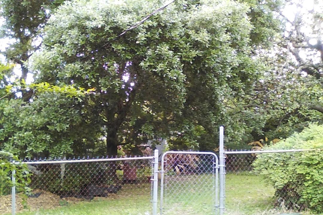 Photo of Others in Mid City South