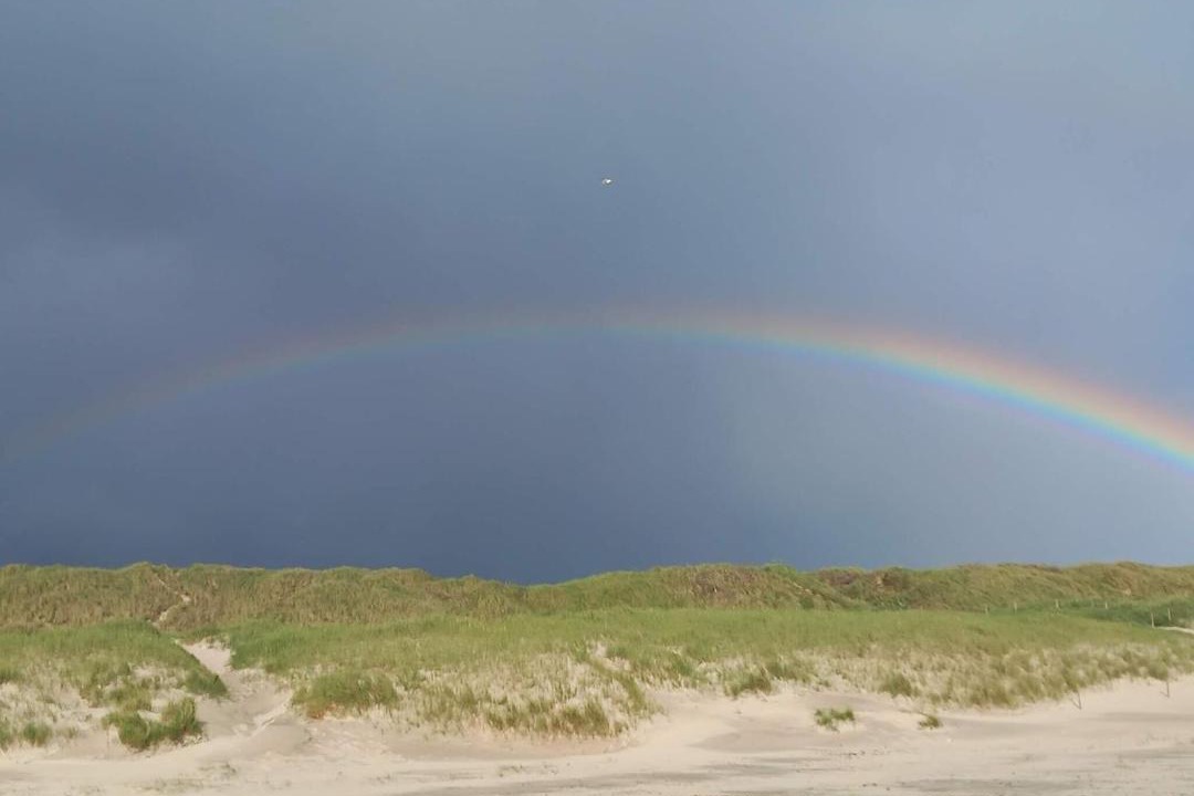 Photo of Others in Hvide Sande
