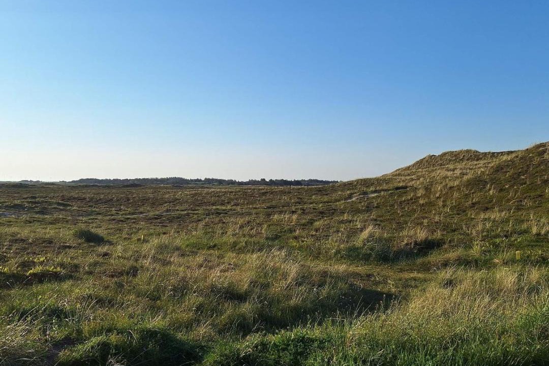 Photo of Others in Hvide Sande