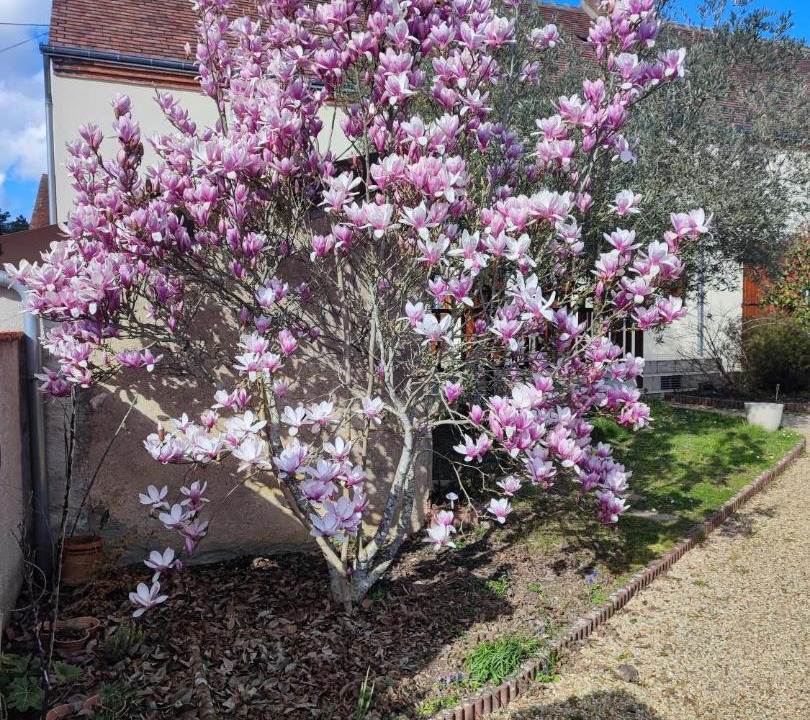 Photo of Others in Villefranche-sur-Cher