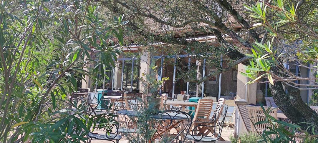 Photo of Others in Ramatuelle