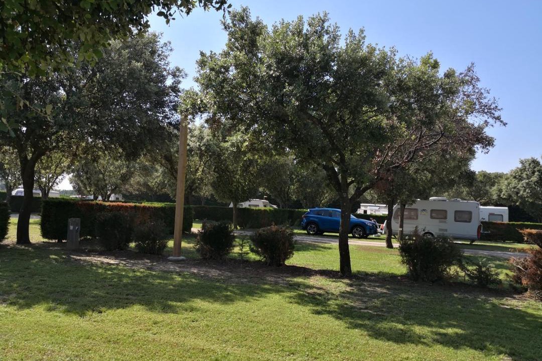 Photo of Others in Violes