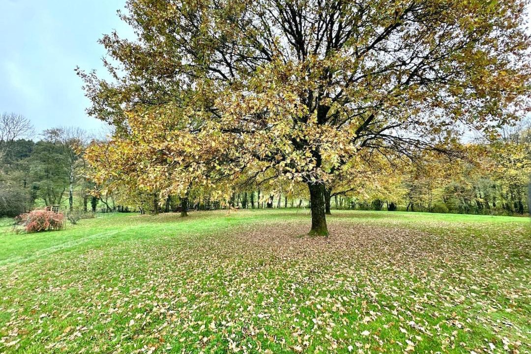 Photo of Others in Chagny