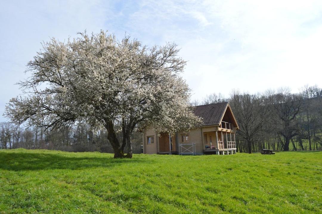 Photo of Others in Chagny