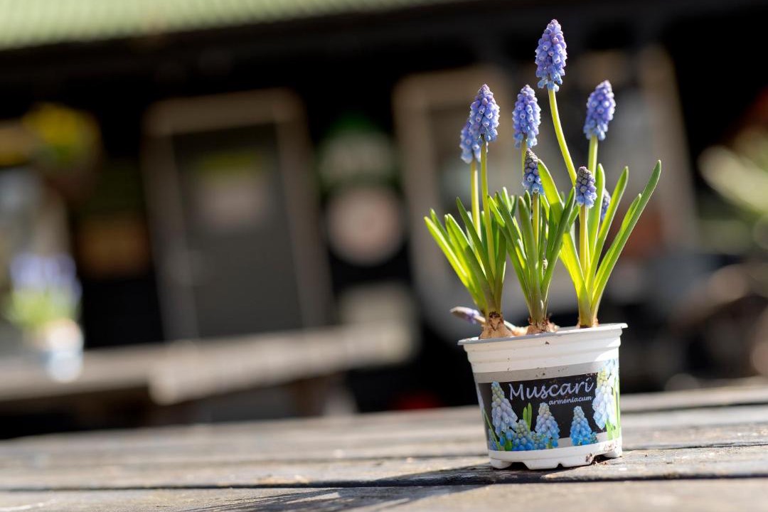 Photo of Others in Seer Green