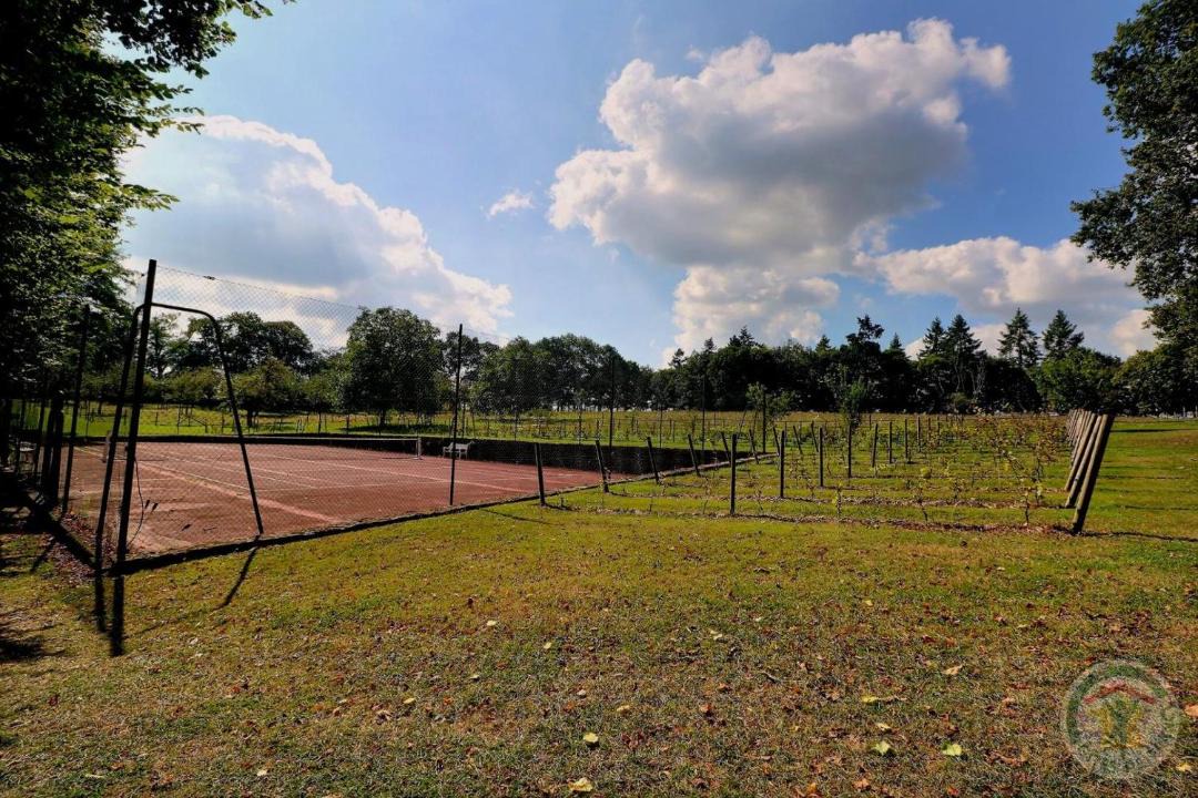 Photo of Others in Bruz