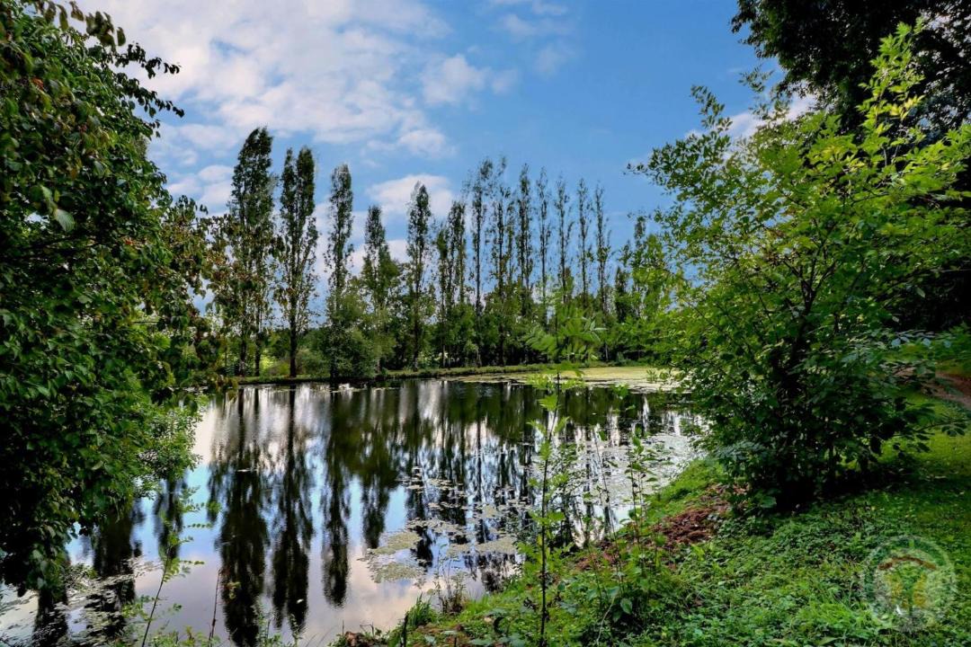 Photo of Others in Bruz