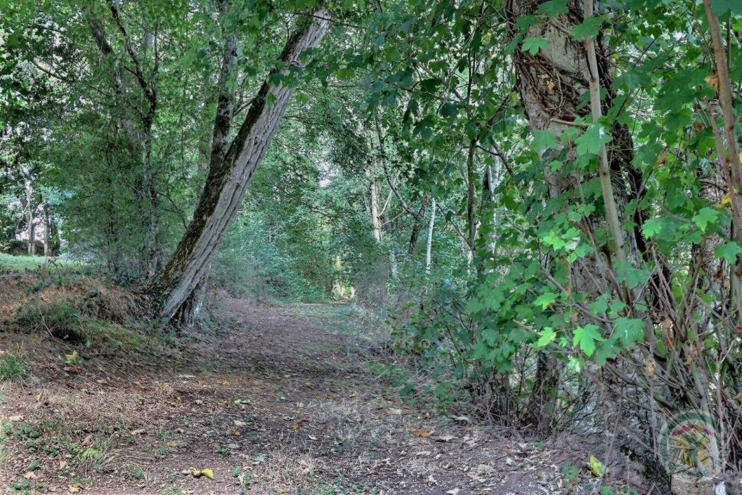 Photo of Others in Bruz