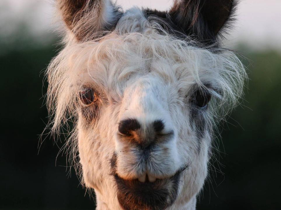 Photo of Others in Coalpit Heath