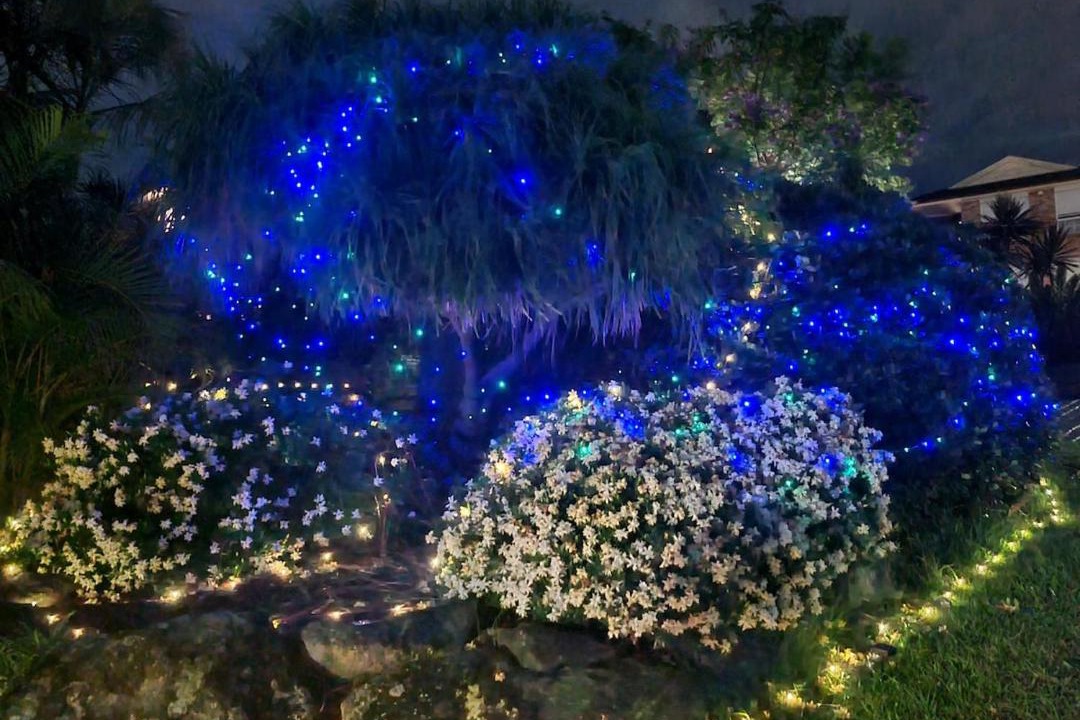 Photo of Others in Castle Hill