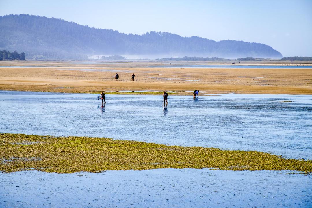Photo of Others in Tillamook