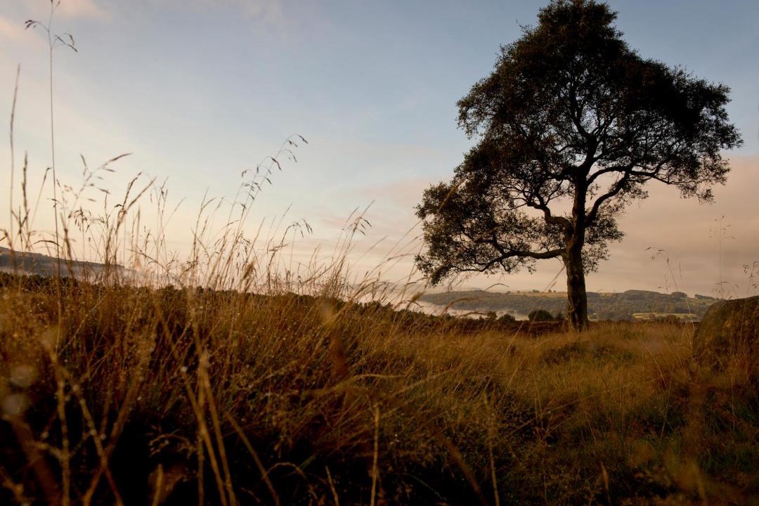 Photo of Others in Hathersage
