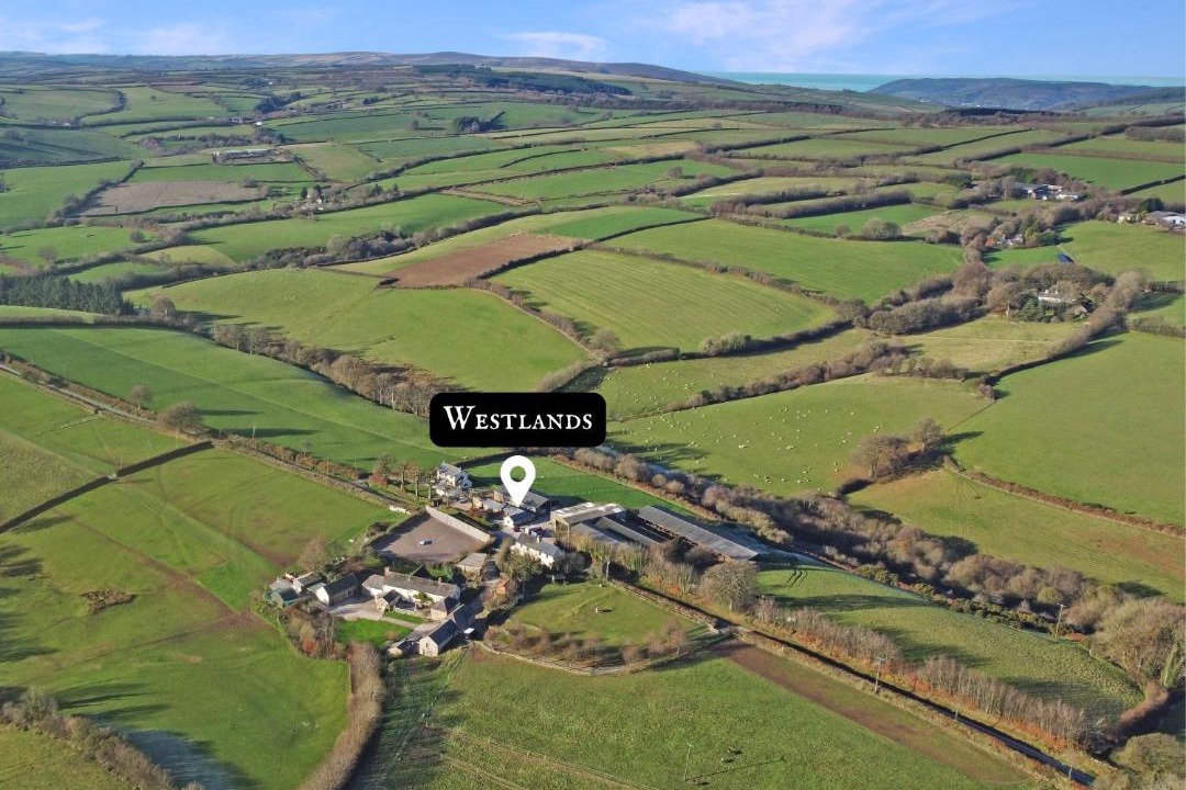 Photo of Others in Watchet