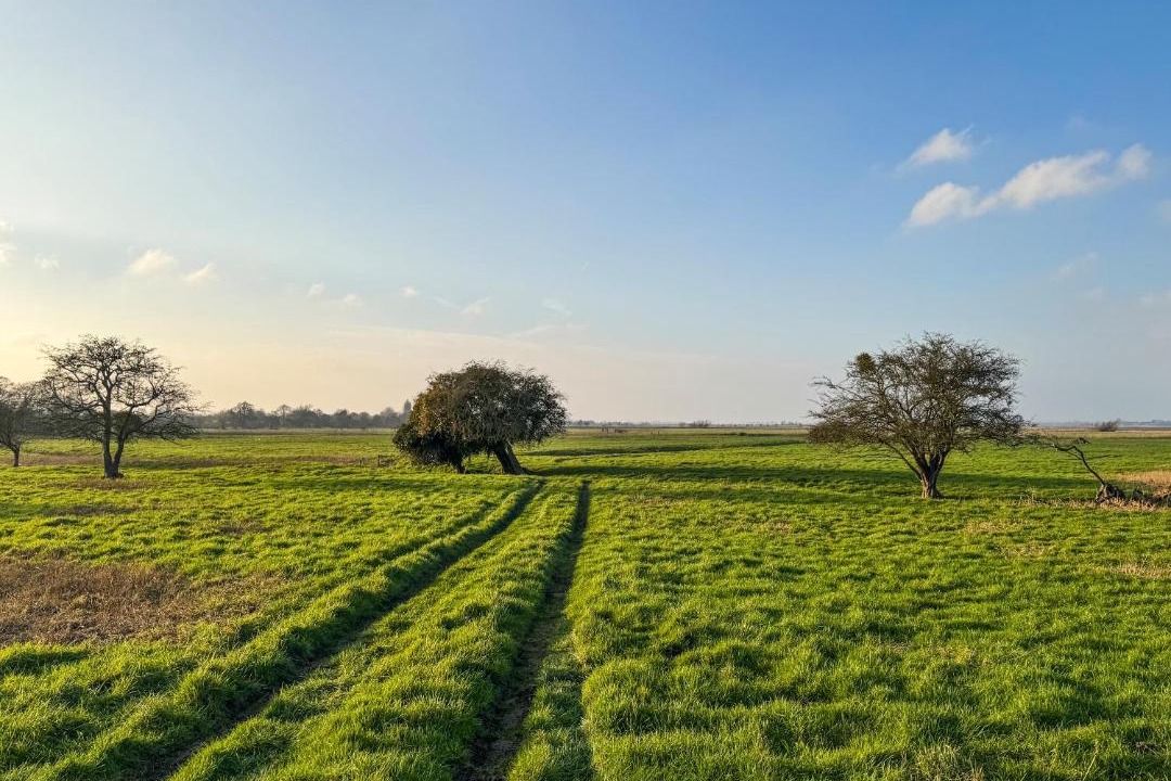 Photo of Others in Thurlton