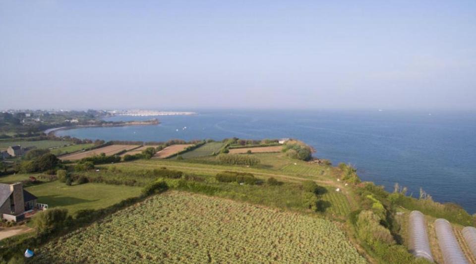 Photo of Others in Roscoff
