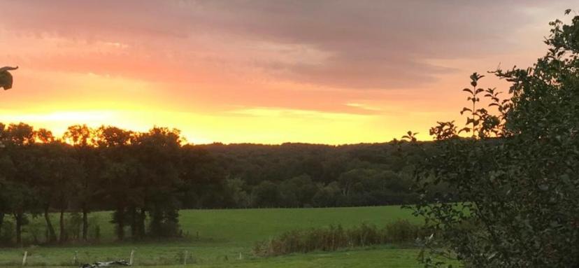 Photo of Others in Saint-Priest-le-Betoux