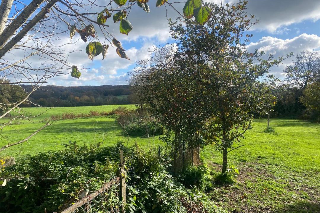 Photo of Others in Saint-Priest-le-Betoux