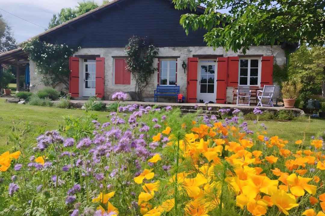 Photo of Others in Saint-Georges