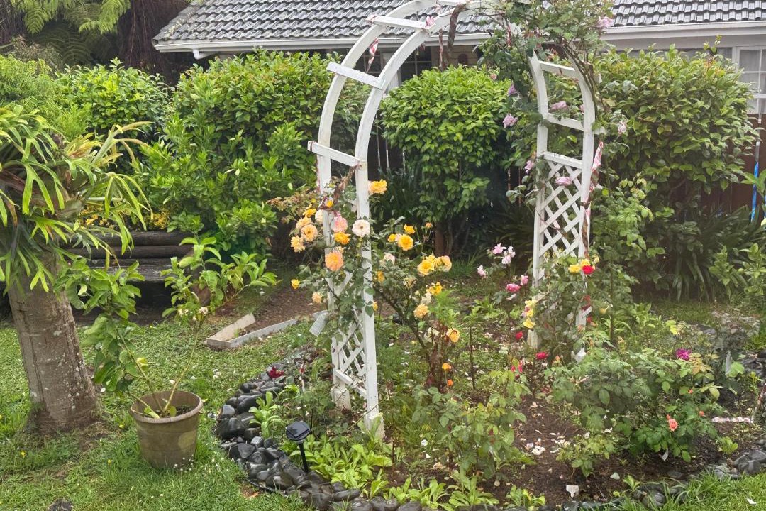 Photo of Others in Mount Roskill