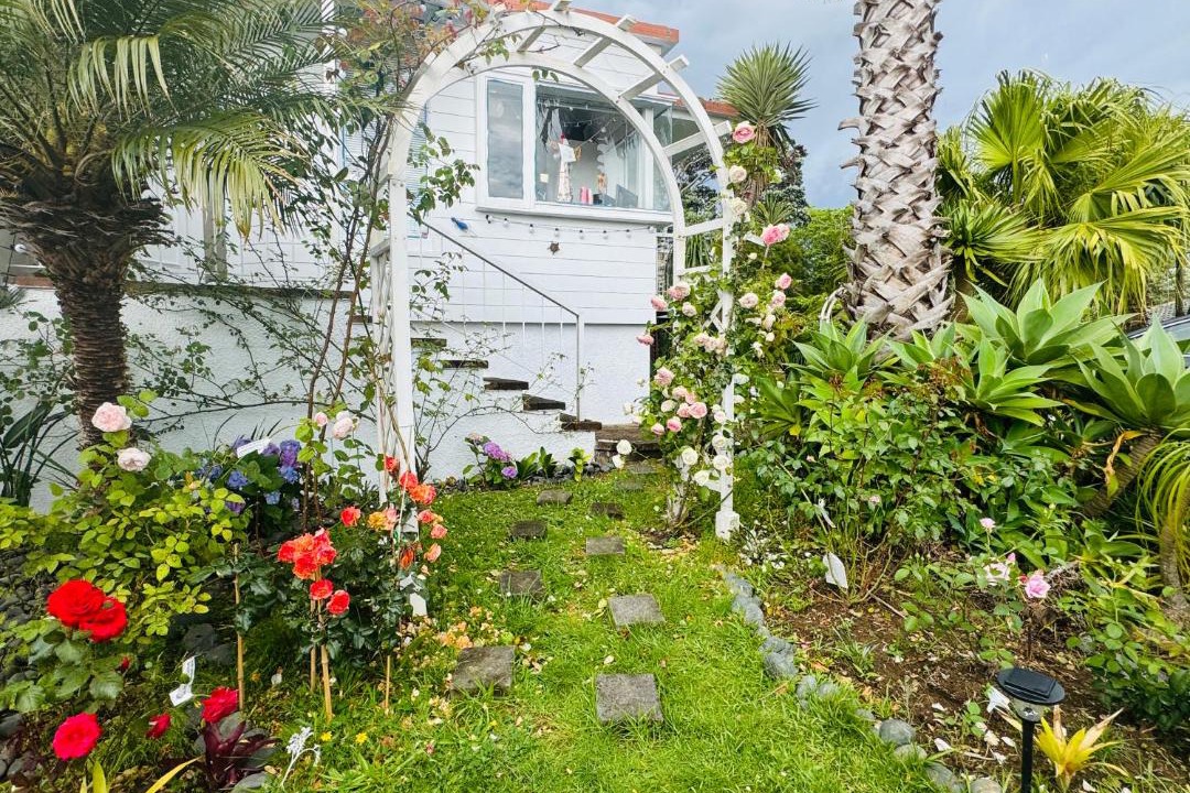 Photo of Others in Mount Roskill