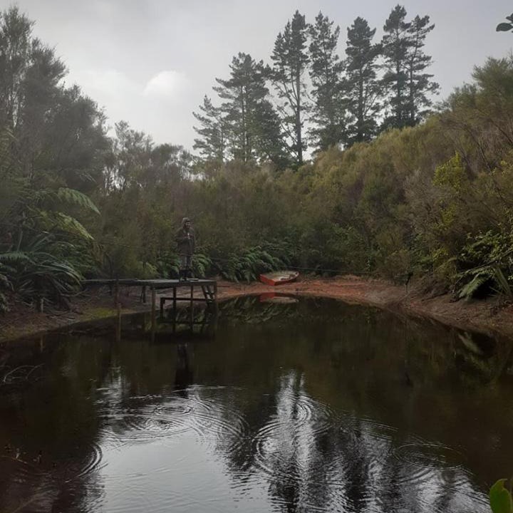 Photo of Others in Okato