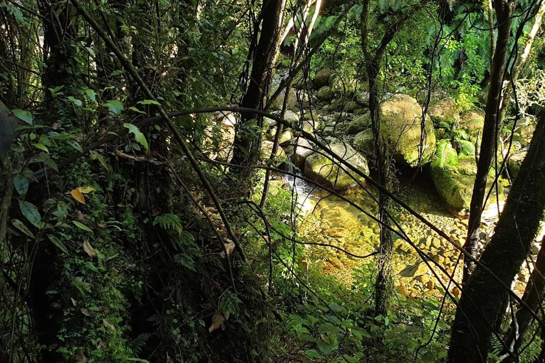 Photo of Others in Okato