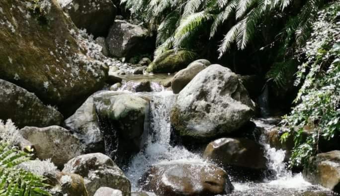 Photo of Others in Okato