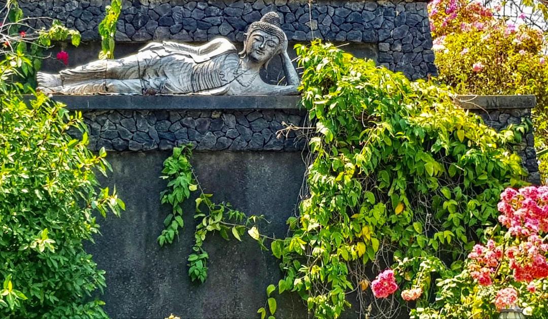 Photo of Others in Amed