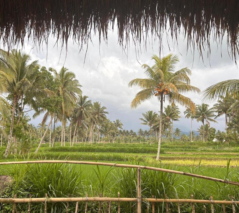 Photo of Others in Tetebatu