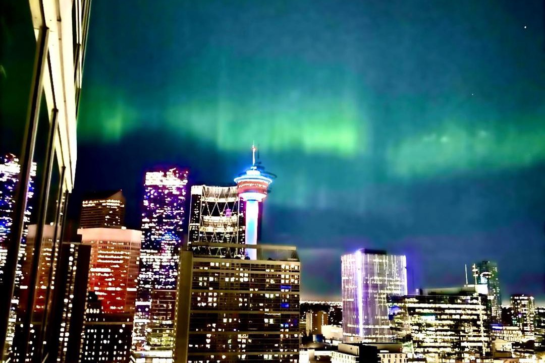 Photo of Others in Beltline