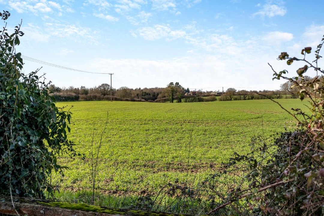 Photo of Others in Colchester