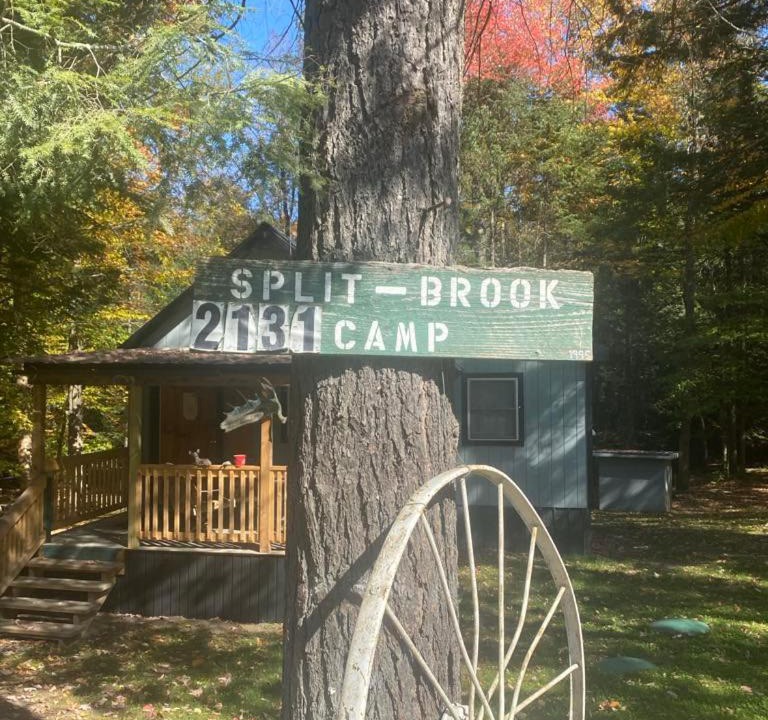 Photo of Others in Lowell